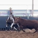 Loretta Schneider - @painted_dreams_ranch - Instagram