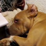 Loretta Shaffer -George - @lorettashaffergeorge - Instagram