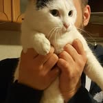 lolly27368 - @loretta_simoncelli - Instagram