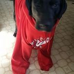 Loretta Hamilton Simon - @lorettasimon4899 - Instagram