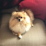 Loretta Skinner Cox - @lorettaskinnercox - Instagram