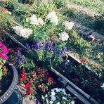 Loretta Speck - Facebook