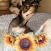 Loretta Staley - Facebook