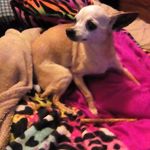 Loretta Staley - @wildchild1969 - Instagram