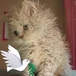 Loretta Stanley - @stanleyloretta38 - Instagram