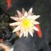 Loretta Stauffer - Facebook