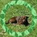 Loretta Stokes - Facebook