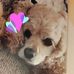 Loretta Stump - Facebook