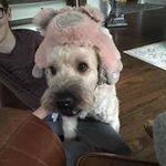 Loretta Coyne Suarez - @suarez.loretta - Instagram