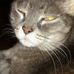 Loretta Swift - Facebook