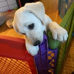 Loretta Swifty - @swiftyloretta - Instagram