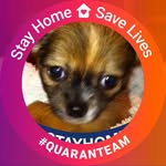 Loretta Tackett - @tackett7161 - Instagram