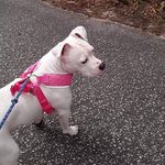 Loretta Reed - @loretta.talley.121 - Instagram