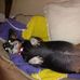 Loretta Thayer Schofield - Facebook