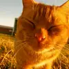 Nem.szerethet.mindenki - @loretta.toth - TikTok