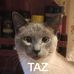 Loretta Townsend - Facebook