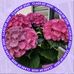 Loretta Tyler - Facebook