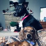 Loretta & Waylon Chisman - @loretta_and_waylon - Instagram