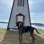 Waylon-Loretta - @waylon_n_loretta - Instagram