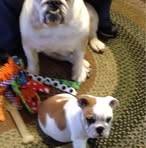 Loretta Weeks - Facebook