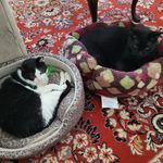 Loretta West - @lwest46 - Instagram