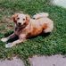 Loretta Wilcox - Facebook