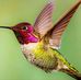Loretta Wilcox - Facebook