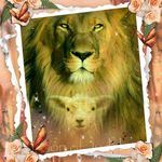 Loretta Workman - @loretta.workman.754 - Instagram