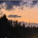Laura Abney - Facebook