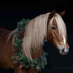 LORI ACKERMAN - @loriackermanphotography - Instagram