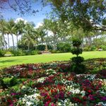 Lori Ackerman - @lori.ackerman.3 - Instagram