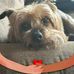 Lori Ackerman  - Facebook