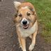 Laura Agnew - Facebook