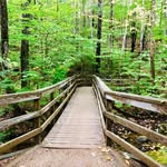 Lori Alcott - @motivationpossee - Instagram