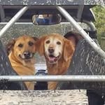 Lori Alder - @lorialder757 - Instagram