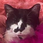 Lori Alderidge - @lorialderidge - Instagram