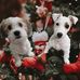 Lori Hummer Alonzo - Facebook