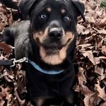 Lori Alsup - @lorialsup - Instagram