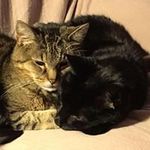 Lori Ambrose - @lori.ambrose.5 - Instagram