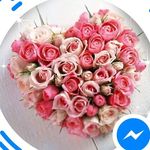 Lori Ambrose - @bwings57 - Instagram