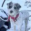 Painted Pastures - @lori.anderson94 - TikTok