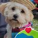 Lori Ann Andrus - Facebook
