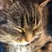 Lori Woodruff Armistead - Facebook