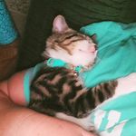 Lori Avery - @azwhovian14 - Instagram