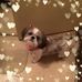 Lori LeLani Aviles - Facebook