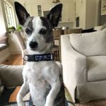 Lori Ayers - @lori.ayers67 - Instagram