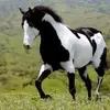 loriayers337 - @loriayers337 - TikTok