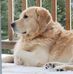 Lori Babb - Facebook