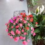 Lori Bach - Facebook