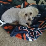 Lori Bach Hurley - Facebook